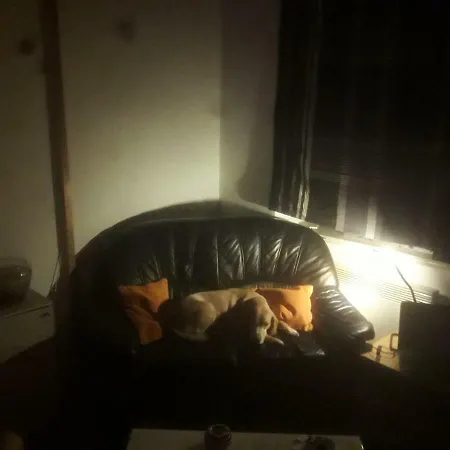 Palst Apartment *